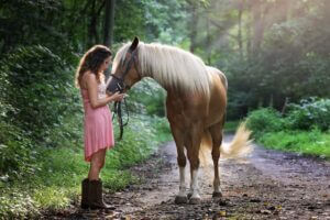 Paardencoaching veldhoven eindhoven