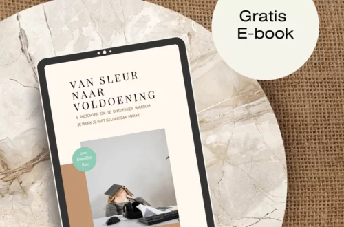 ebook van sleur naar voldoening